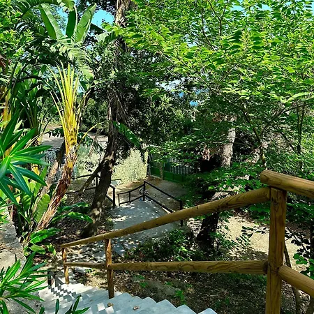 Casa Rosada Ischia - Vista Mare Con Jacuzzi * Forio di Ischia