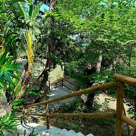 Casa Rosada - Vista Mare - Ischia * Forio (Isola d'Ischia)