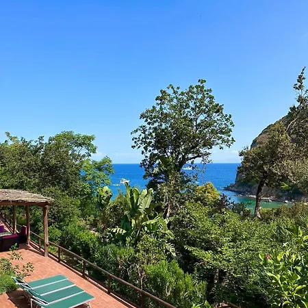 Casa Rosada - Vista Mare - Ischia Forio (Isola d'Ischia)