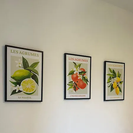 Casa Rosada - Vista Mare - Ischia Forio di Ischia