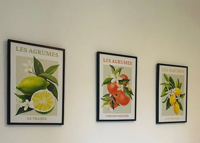 Casa Rosada - Vista Mare - Ischia Forio di Ischia